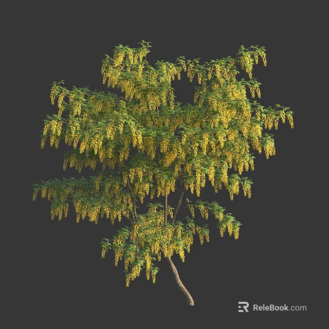 Lush Arborescent Tree With Green Foliage And Hanging Yellow Flower Clusters 3d model 