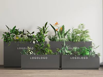 Stylish Garden Decor With Gray Planters And Lush Tropical Green Plants Flowers 3d model