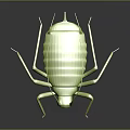 Realistic Green Cricket 3D Model With Glossy Surface Long Antennae And Reflective Dark Background