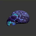 Advanced Illuminated Medical Device for Brain 3D Anatomical Visualization in Neuroscience Education