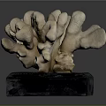Coral Shaped Sculpture Placed on Black Base for Decorative Art