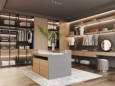 Stylish Walk in Closet Interior Design With Glass Counter Wooden Cabinets Mirror And Clothes Racks 3d model