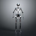 Detailed Robotic Skeleton Limbs With Mechanical Arms Legs Joints And Structures