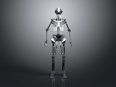 Detailed Robotic Skeleton Limbs With Mechanical Arms Legs Joints And Structures 3d model