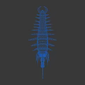 Game Movie Character 3D Model of Centipede With Green Body Red Head and Black Legs