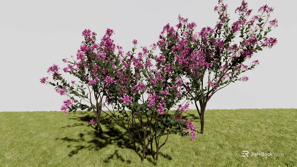 Outdoor Lush Green Grass Landscape Featuring Blooming Purple Flower Trees 3d model 