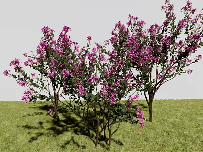 Outdoor Lush Green Grass Landscape Featuring Blooming Purple Flower Trees 3d model