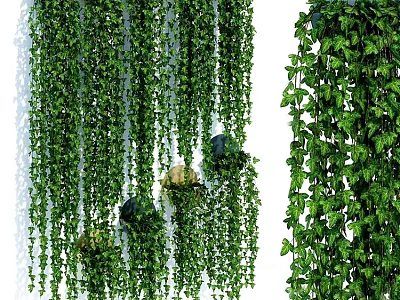 Green Plant Wall With Hanging Vines And Greenery 3d model