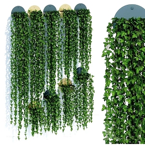 Plant Wall Flowers Green Wall Green Wall Decorations Climbing Wall Grass 3d model