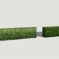 3D Green Hedge Wall Collection Showcasing Various Shrubs Designs And Textures 3d model