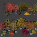 arbor ginkgo tree autumn landscape tree autumn tree yellow tree five-pointed maple willow tree 3d model