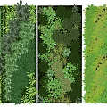 Diverse Lush Living Wall Design With Various Green Plants And Natural Foliage Tones