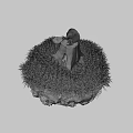 Tree Stump With Black Stone And White Bowl On Green Grass With Soil