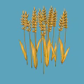 Natural Golden Wheat Ears with Green Leaves on Blue Background