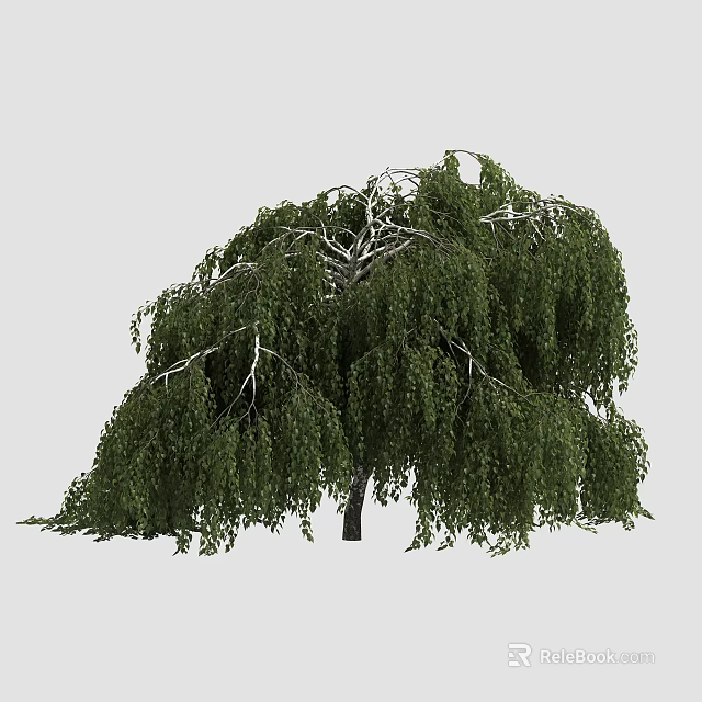 Lush Weeping Arbor With Green Foliage And Graceful Hanging Branches 3d model 