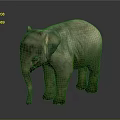 Realistic Baby Elephant 3D Model With Detailed Texture And Standing Pose On Gray Background