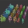 Vibrant Colorful Mixed Flower Plants Neatly Arranged With Reflections On Black Background