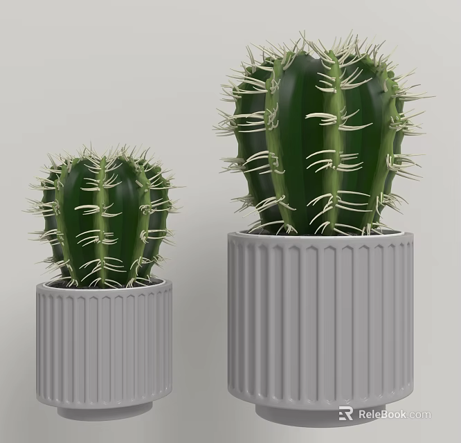 Decorative Plant Arrangement with Small and Large Cacti in Gray Ribbed Pots 3d model 