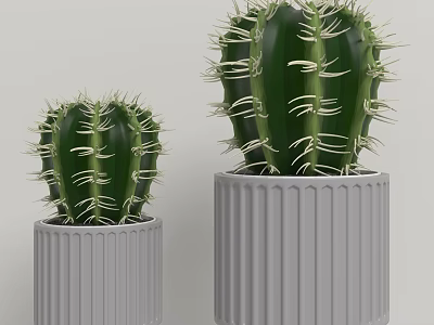 Decorative Plant Arrangement with Small and Large Cacti in Gray Ribbed Pots 3d model