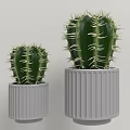 Decorative Plant Arrangement with Small and Large Cacti in Gray Ribbed Pots