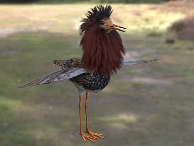 Stuffed Bird with Brown Feathers Crested Head Orange Beak Legs Spread Wings on Grassy Field 3d model