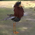 Stuffed Bird with Brown Feathers Crested Head Orange Beak Legs Spread Wings on Grassy Field