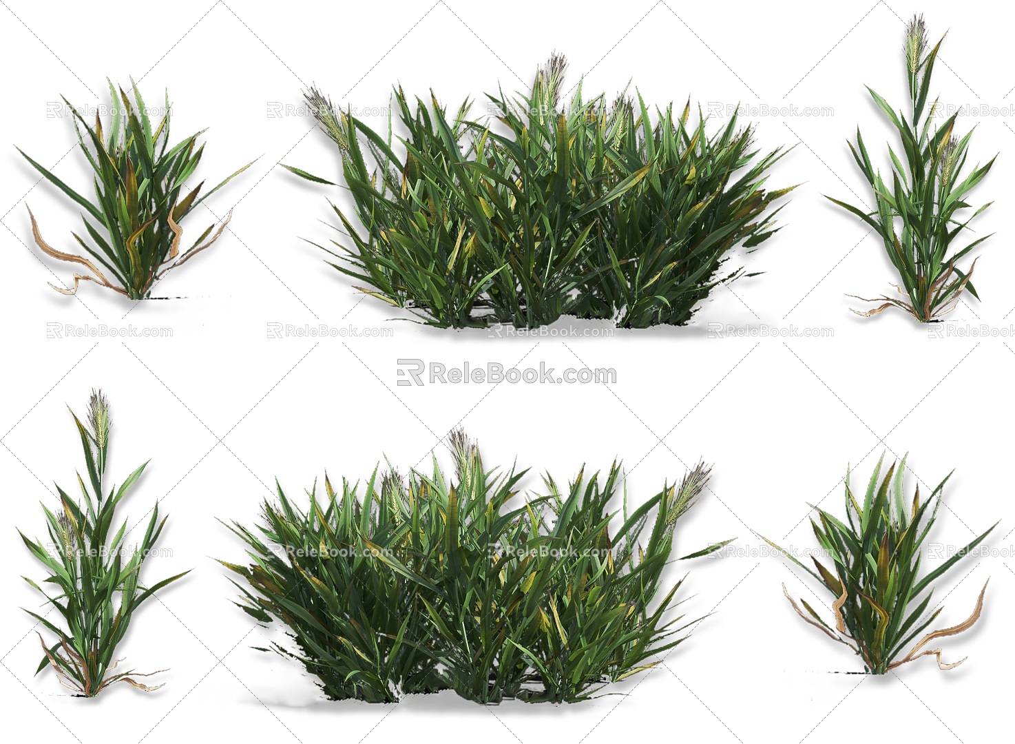 wheat barley crop plant highland barley wheat spike crop plant crop wheat seed sorghum rice crop seedling plant model