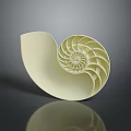 Nautilus Shell Exhibiting Intricate Spiral Structure And Creamy Yellow Color On Dark Background