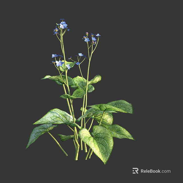 Fresh Growing Plant With Lush Green Leaves And Tiny Blue Flowers 3d model 