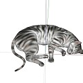 Animal Cat Pet Cat 3d model