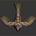 Modern Birds Birds 3d model