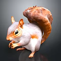 White and Brown Squirrel with Fluffy Tail Standing on Black Background