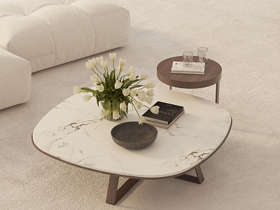 Modern coffee table model