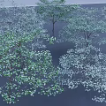 Green Arbor Trees With Lush Foliage In Natural Landscape Setting