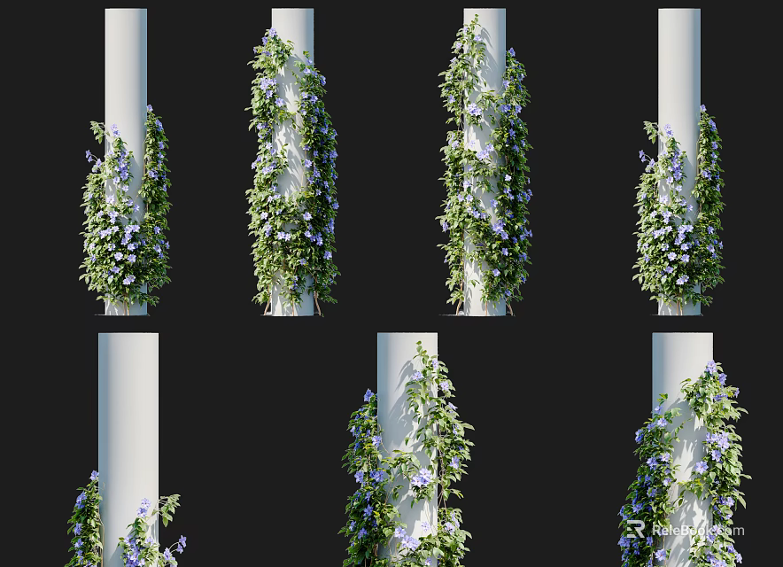 Vines With Purple Flowers At Different Growth Stages On White Columns 3d model 
