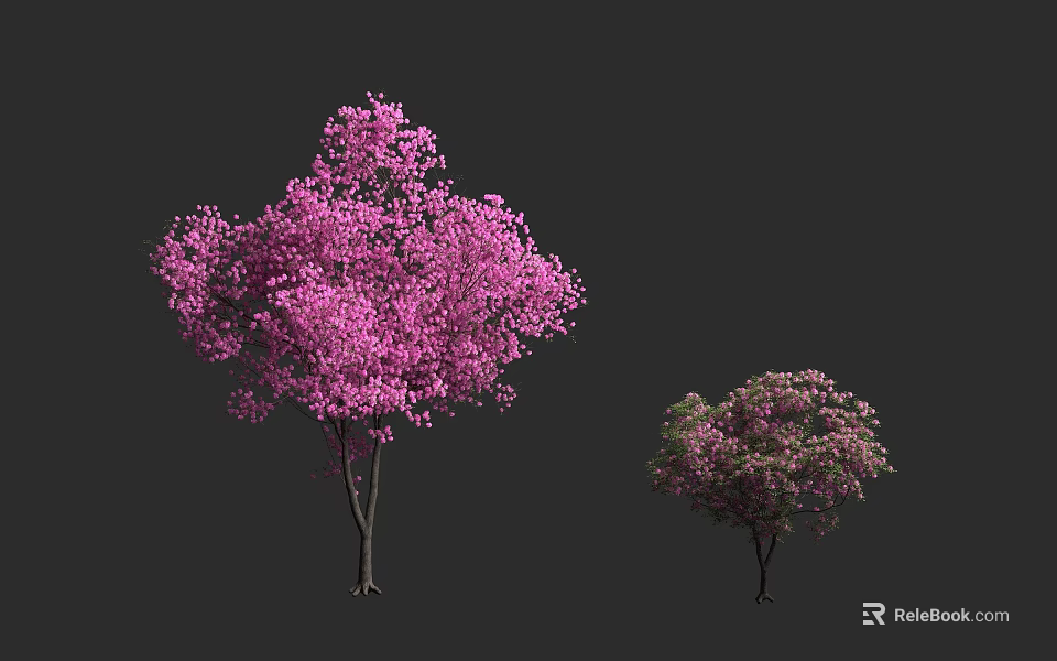 Large And Small Arbor Trees With Pink Blossoms Against Gray Background 3d model 
