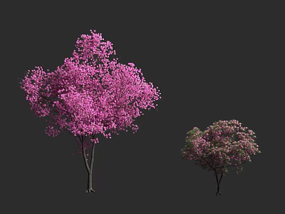 Large And Small Arbor Trees With Pink Blossoms Against Gray Background 3d model