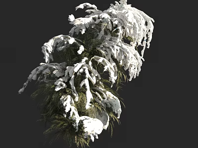 Evergreen Tree Branches Covered With Fresh Snow And Winter Natural Foliage 3d model