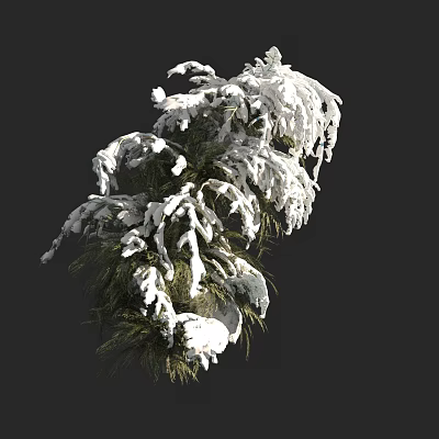 Evergreen Tree Branches Covered With Fresh Snow And Winter Natural Foliage 3d model