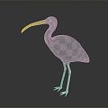 Modern Flamingo 3d model