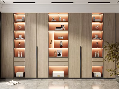 Elegant Modern Wardrobe Interior Design With Open Shelves Built In Lighting And Wooden Panels 3d model