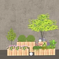 Decorative Bonsai Potted Plants Featuring Different Tree Shrubs and Flowers in Wooden Planters