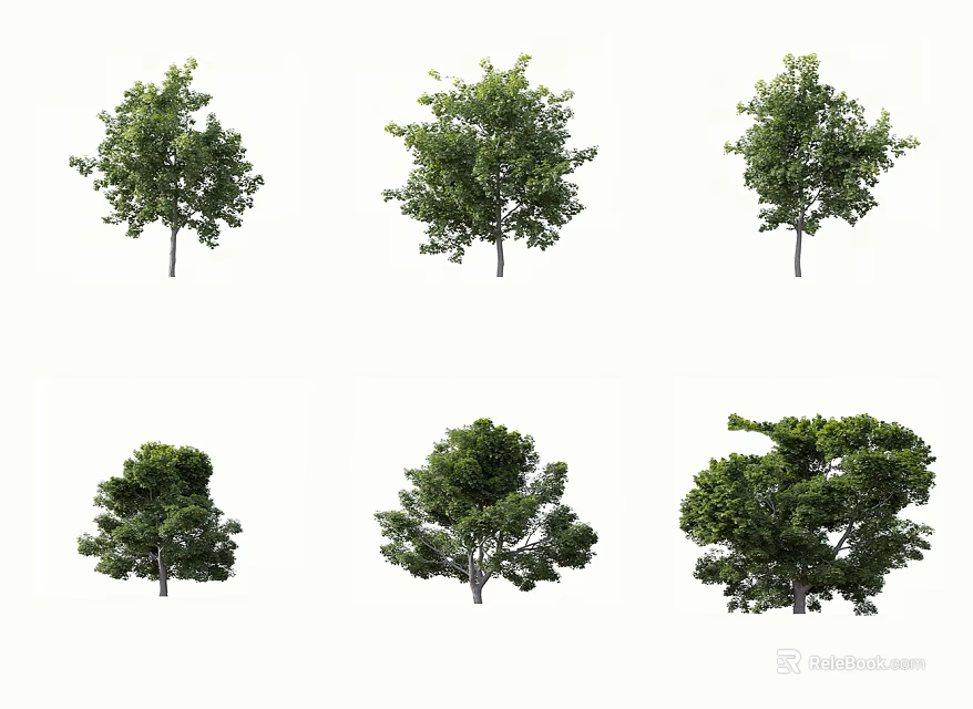 Various Shaped Arbor Trees With Green Foliage And Diverse Crown Forms 3d model