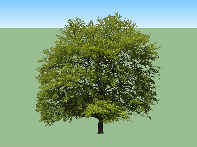 Lush Green Arbor Featuring Dense Foliage And Strong Trunk In Natural Landscape With Blue Sky 3d model