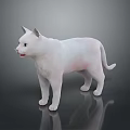 White Cat Standing On Smooth Surface With Gray Gradient Background 3d model