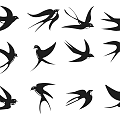 Multiple Black Swallow Shaped Wall Decor for Modern Home Interiors 3d model