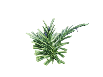 Green Plant with Long Striped Leaves and Visible Veins Bearing Small Blue Flowers on Top 3d model