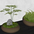 moss bonsai plant ornaments modern landscape tree pool seat flower pool pebble tree pool stone head tree pool landscape sketch modern landscape pedestal tree pool flower pool 3d model