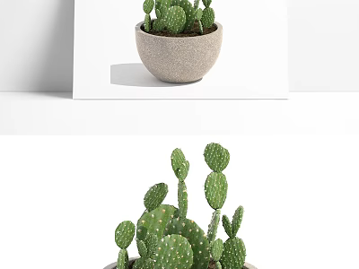 Green Cactus Potted Plant With Thick Pads And Spines In Ceramic Pot For Home Decor 3d model