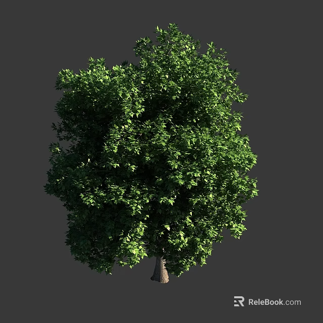 Lush Green Tree With Dense Foliage And Healthy Trunk In Natural Environment 3d model 